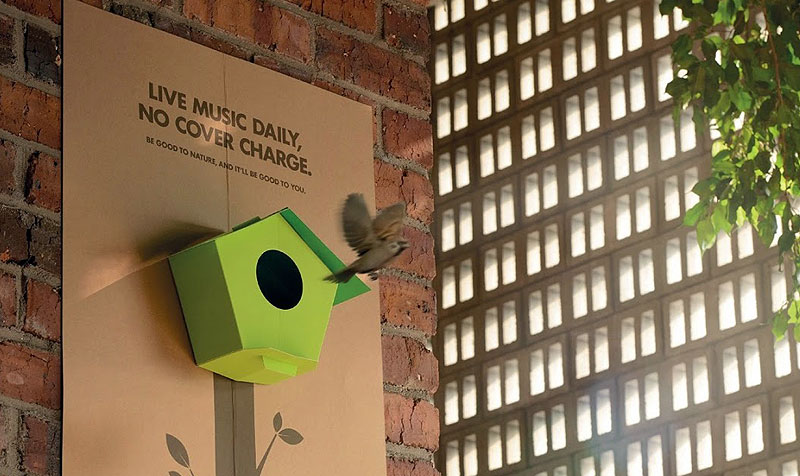 Cartazes viram ninhos para você apreciar a natureza